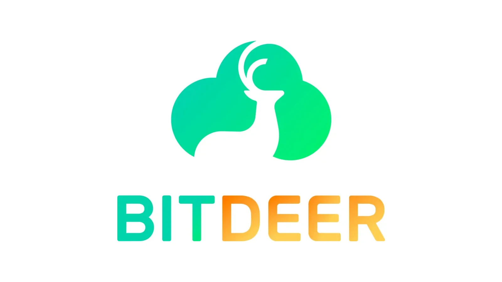 Bitdeer (BTDR) CFO buys $226,000 worth of stock in cash which was well below his option strike.