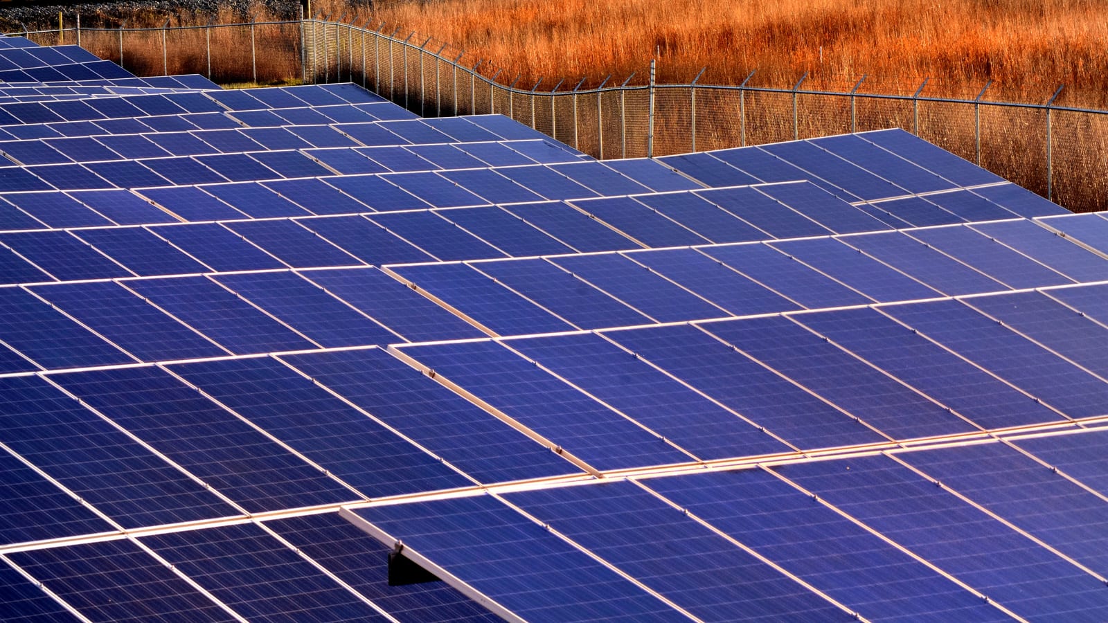 Solar stocks fell again Friday, July 24. T1 Energy (TE) is down 58% since June 2, Enphase (ENPH) 49% and First Solar (FSLR) 36%